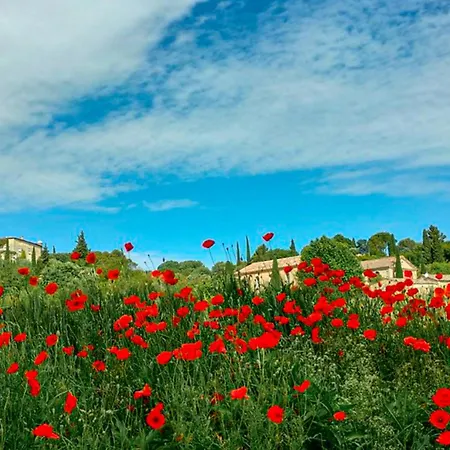 Pet Friendly In Sur Lussan With Kitchen Fons-sur-Lussan
